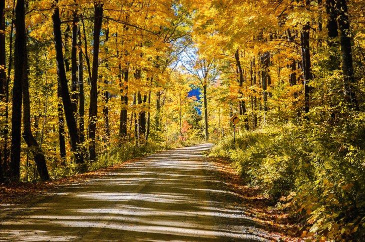 Herbstfarben im Allegany State Park