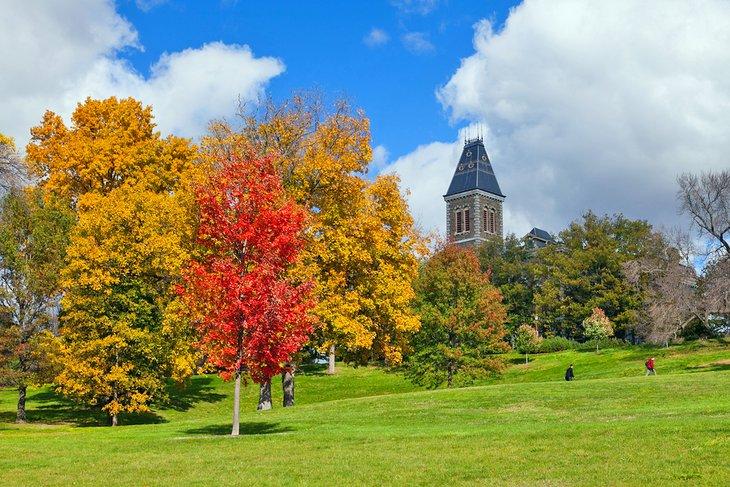 Couleurs d'automne à l'Université Cornell à Ithaca