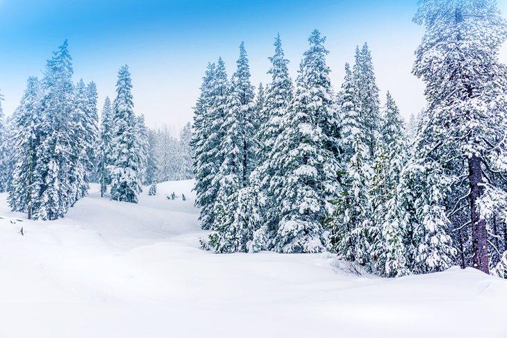 Sugar Bowl Resort