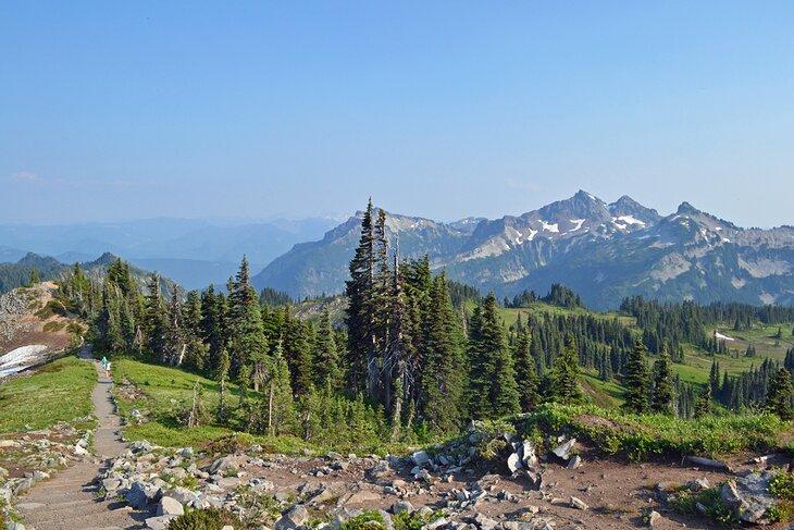 Der Weg und entfernte Berge im Paradies