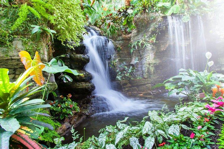 Plantas tropicales en los Jardines del Gaylord Opryland Resort