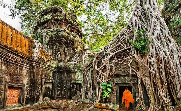 Moine bouddhiste à Angkor Wat