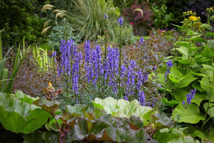 Jardines Botánicos de Inverness