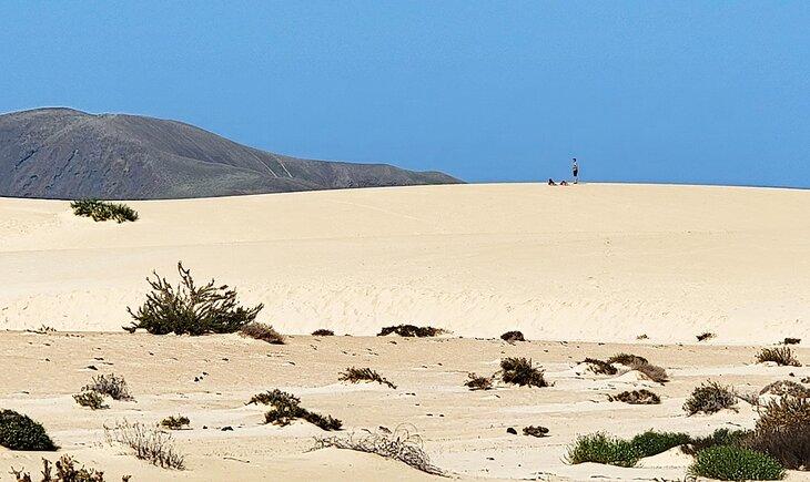 Jugando en las dunas del Parque Natural Corralejo