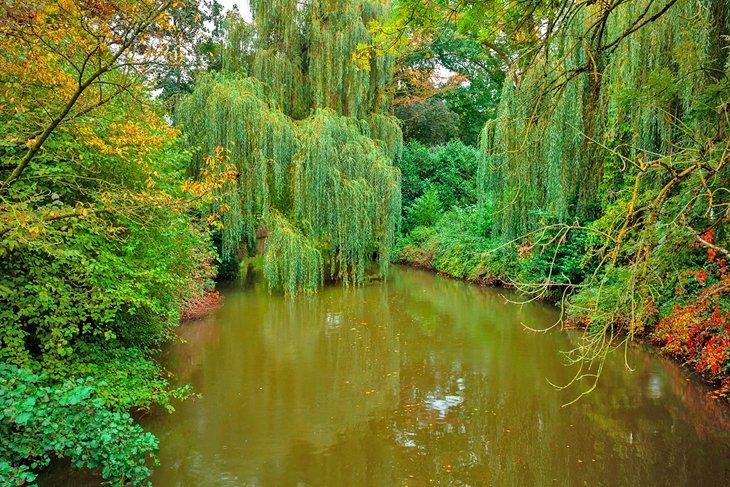 Parc urbain luxuriant à Eindhoven