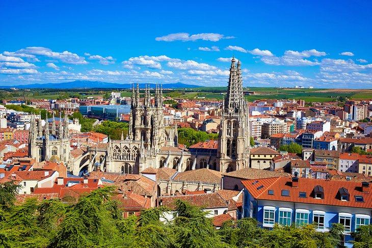 Vista de Burgos