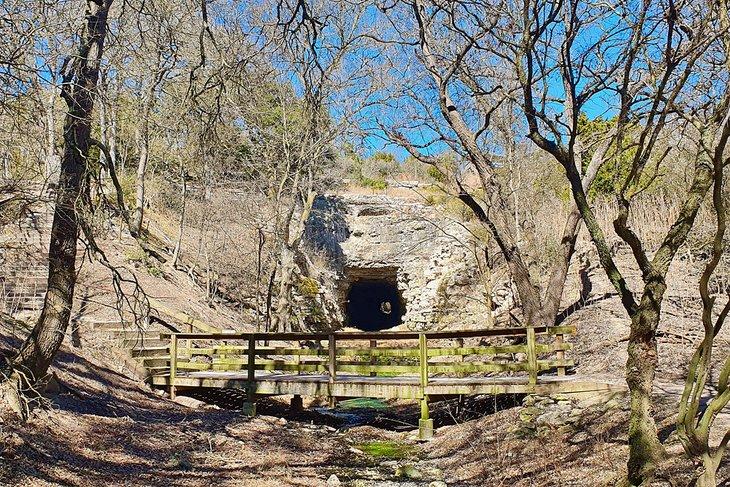 Cueva de Murciélagos del Parque Estatal Old Tunnel