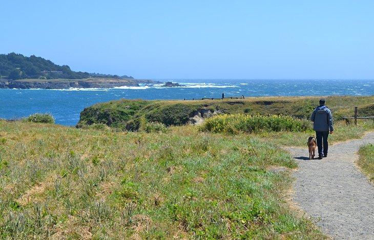 Parque Estatal Mendocino Headlands