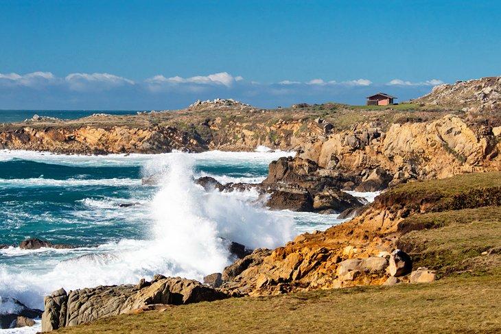 Parque Estatal Salt Point