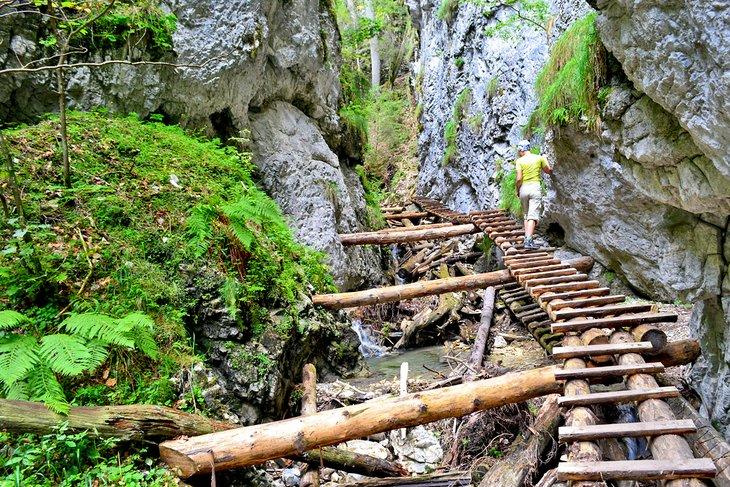 Femme se tenant sur un chemin en bois à travers un canyon rocheux dans le Karst slovaque