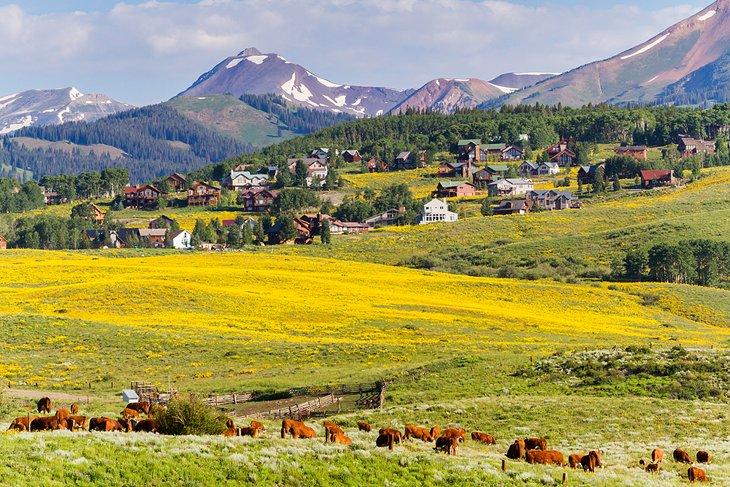 Paysage autour de Crested Butte