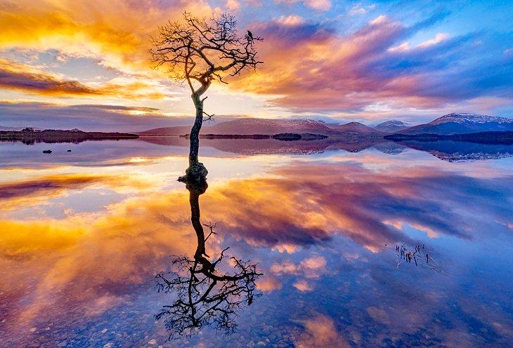Árbol solitario reflejado en Loch Lomond al atardecer