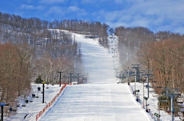 Catamount