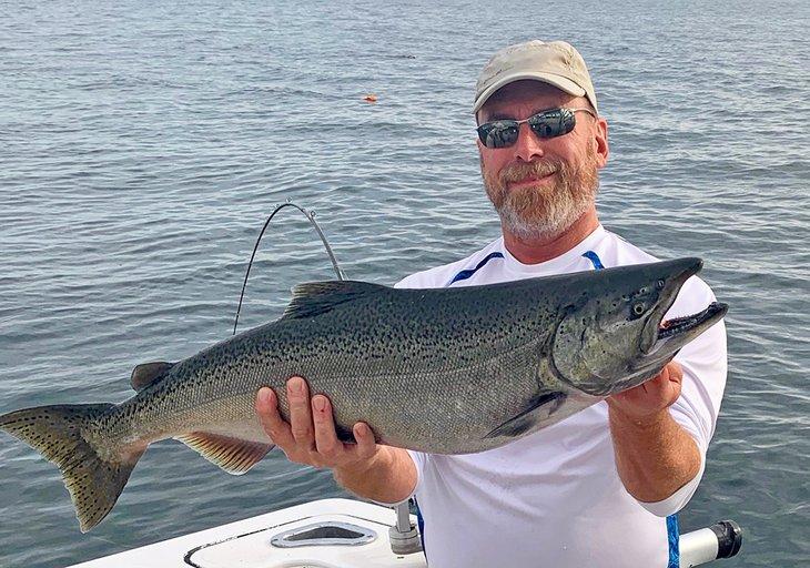 Schöner Königslachs, gefangen im Michigansee