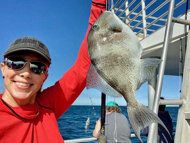 Un pez loro capturado en la pesca de altura en Panama City Beach