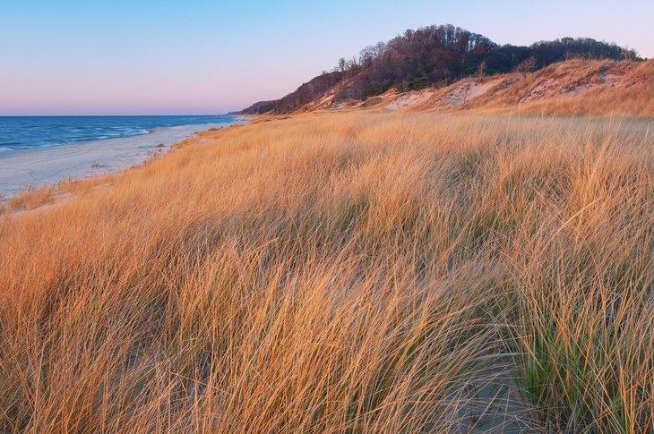 Parque Estatal de Saugatuck Dunes