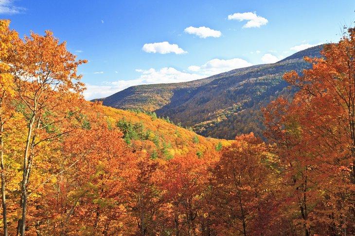 Follaje de otoño en Kaaterskill Clove en las Montañas Catskills