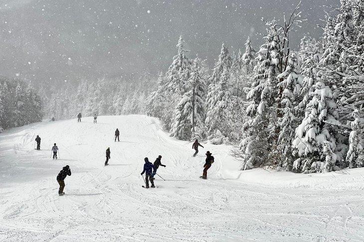 Esquiadores y snowboarders disfrutando de la nieve fresca en Okemo Mountain Resort