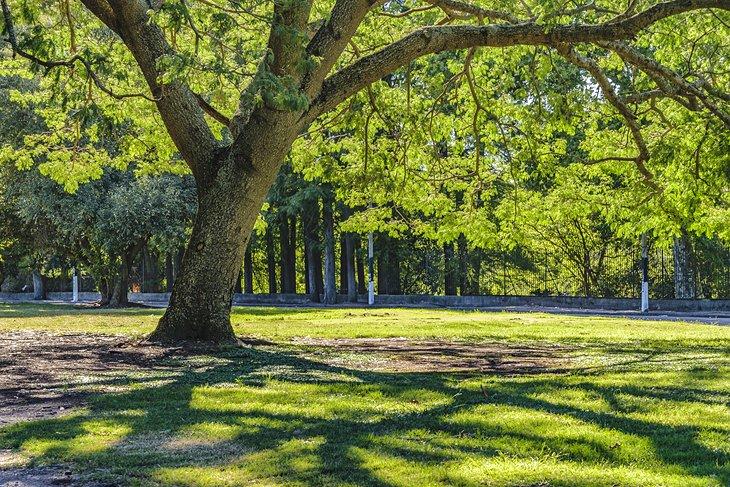 Parque Prado