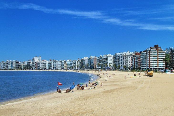 Playa Pocitos