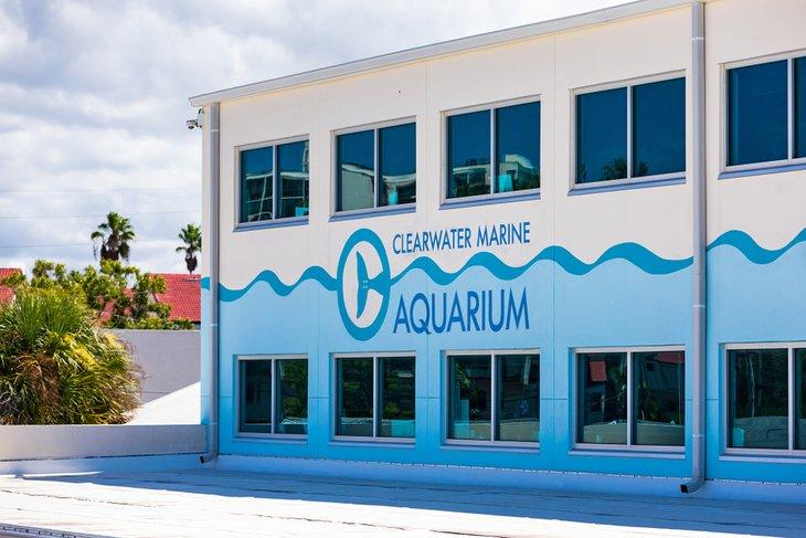Aquarium marin de Clearwater