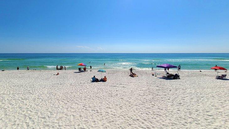 Parque Canino Este Playa de Pensacola