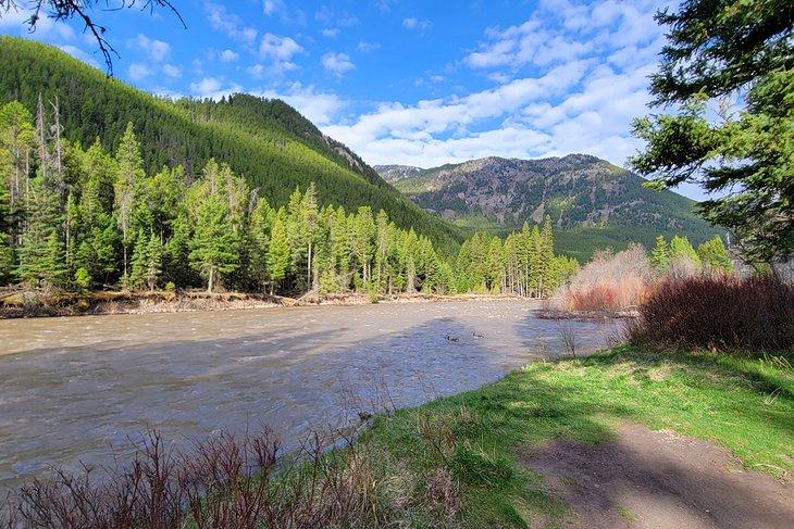 Gallatin River, neben dem Greek Creek Campground