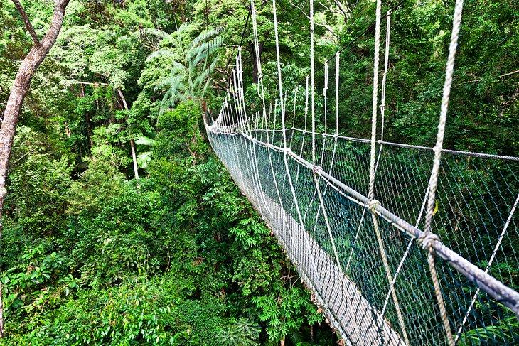 Puente colgante en Taman Negara