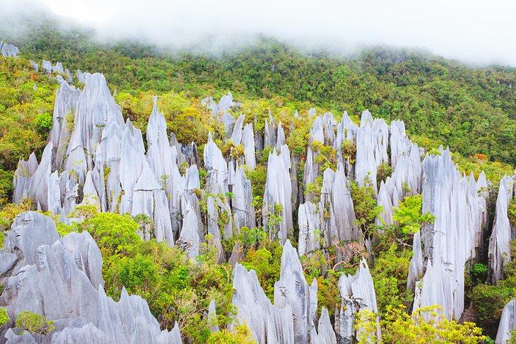 Picos de caliza en el Parque Nacional Gunung Mulu