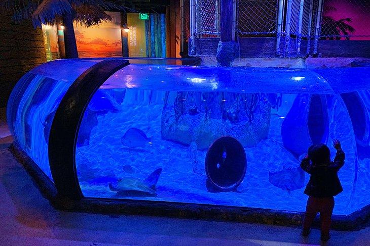 Aquarium SEA LIFE Grapevine