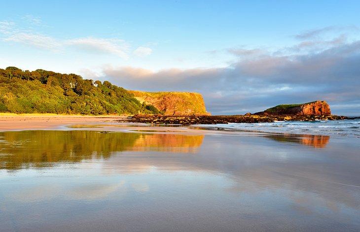 Playa de Seacliff