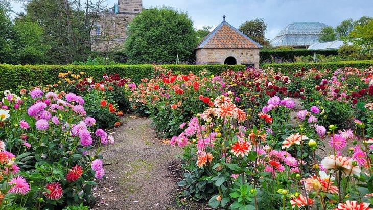 Jardín Botánico Real de Edimburgo