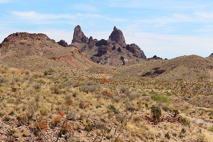 Sendero Manantial Orejas de Mule