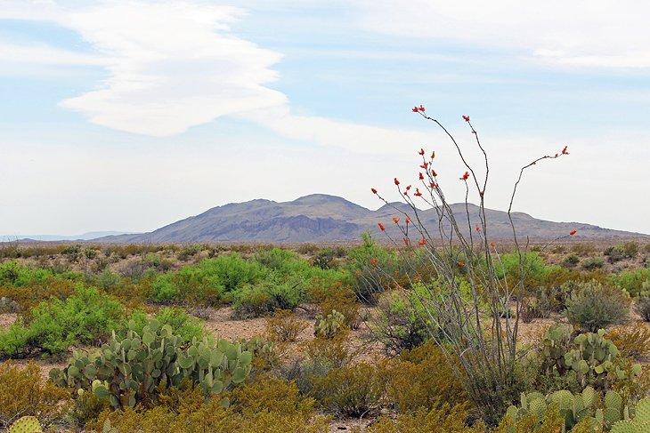 Sendero Naturaleza del Desierto Chihuahuense