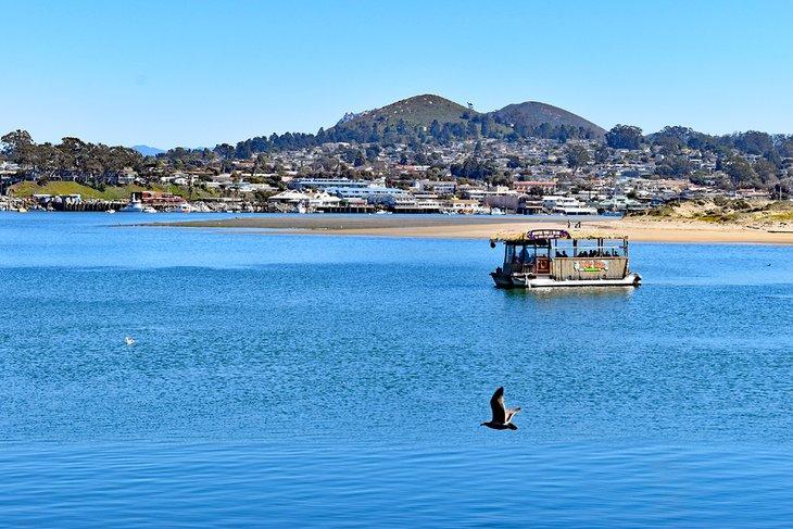 Estuario Nacional de Morro Bay