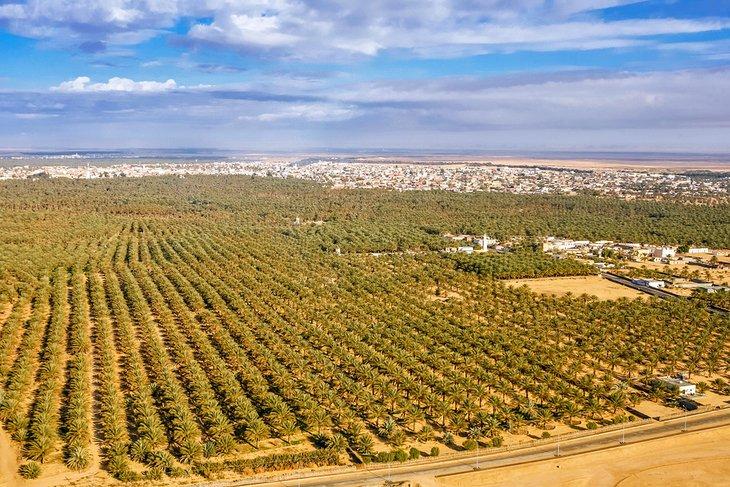 Vue aérienne de l'oasis de Tozeur
