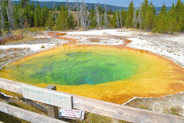 Morning Glory Pool, Paseo de la Cuenca de Géiseres Superiores