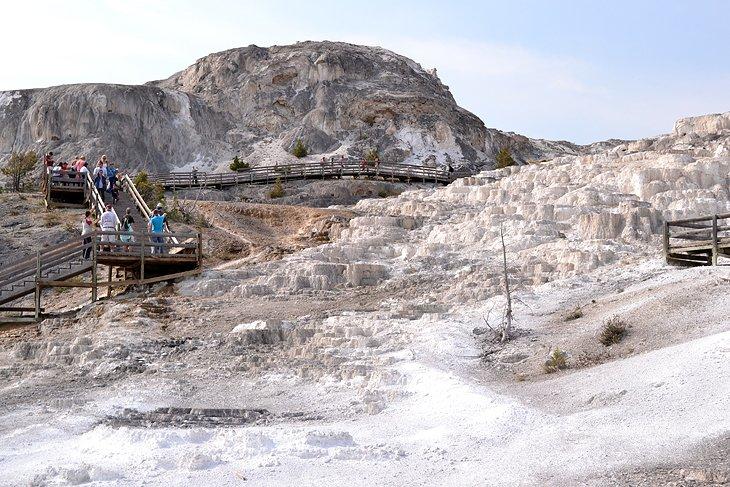 Terrazas Superiores e Inferiores de Mammoth Hot Springs