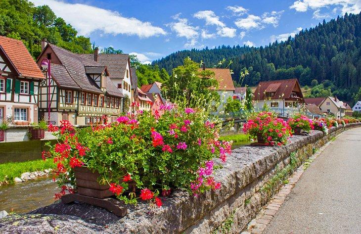 Des fleurs dans le pittoresque village de Schiltach