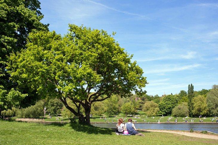 Picnic en Hampstead Heath