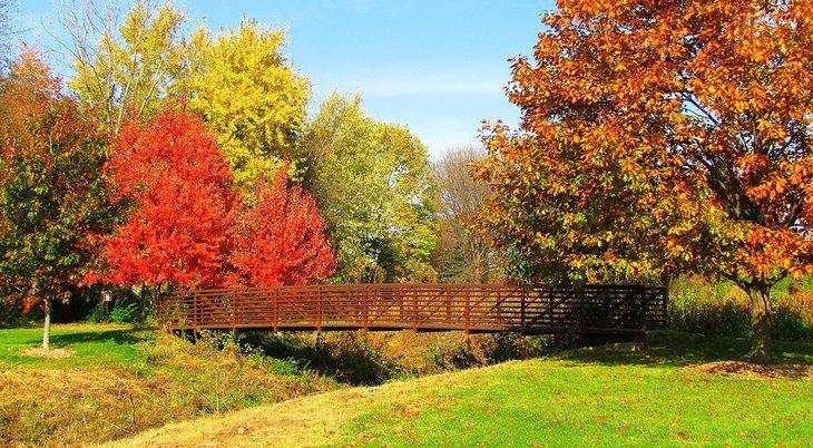 Couleurs d'automne en Iowa