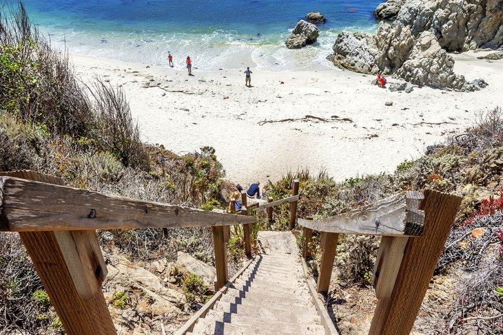 Playa Gibson, Reserva Natural Estatal Point Lobos