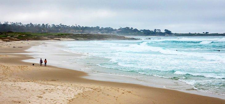 Playa Estatal Asilomar