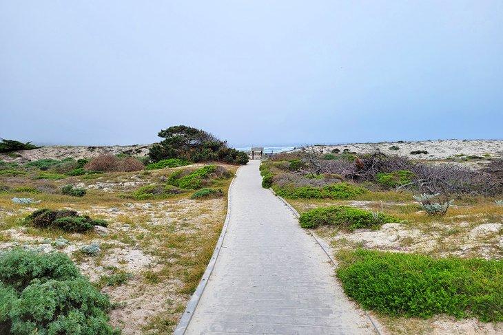 Preservación Natural de Dunas, Playa Estatal Asilomar