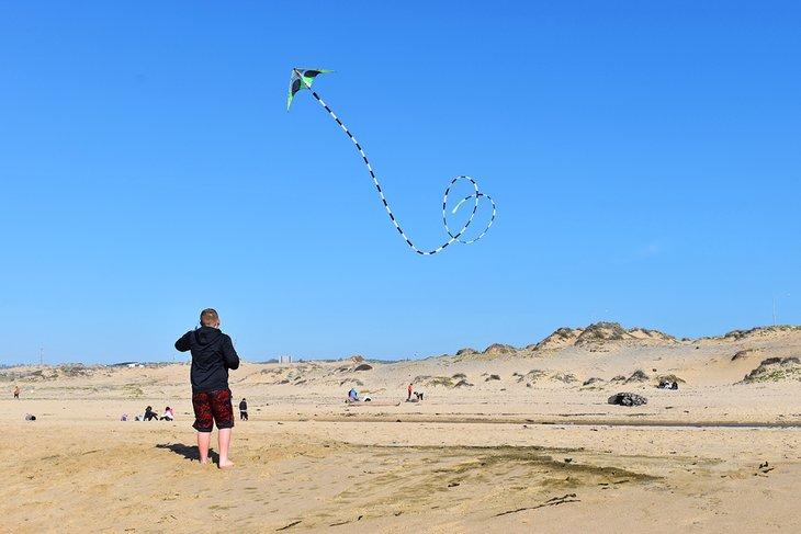 Playa Estatal de Monterey Norte, cerca del hotel Monterey Tides