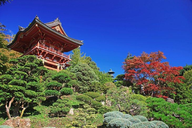 Jardin japonais à Golden Gate Park