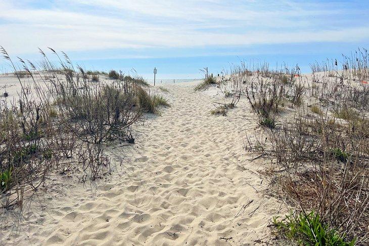 Camino a través de las dunas en Corson's Inlet State Park