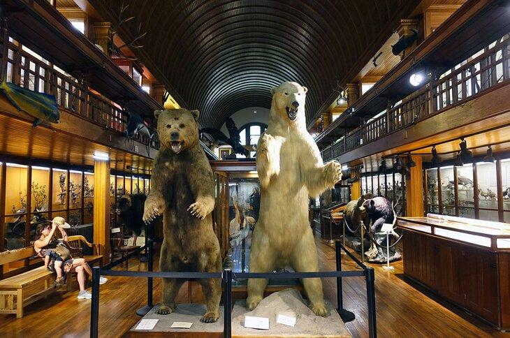 Museo Fairbanks en St. Johnsbury | Jeremy Thompson / foto modificada