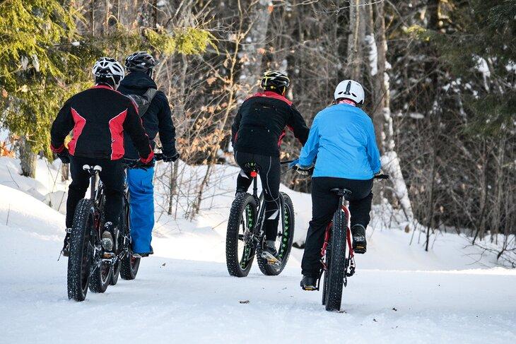 Bicicletas fat en la nieve