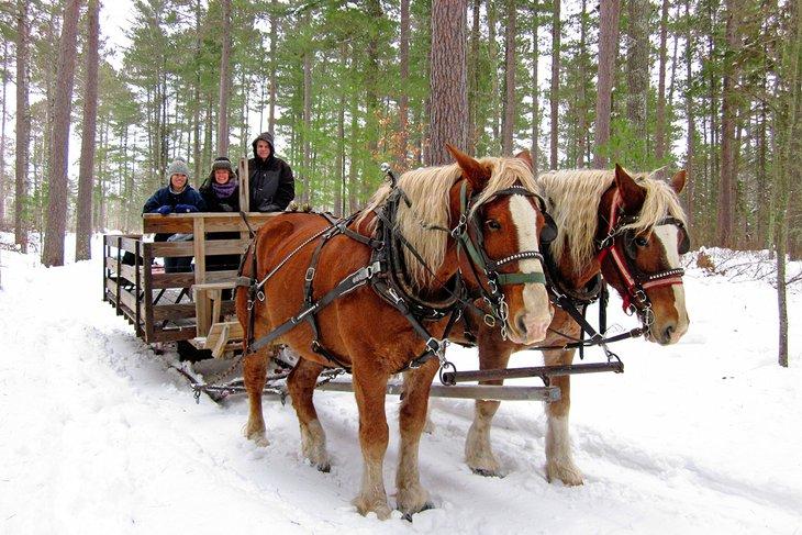 Paseo en trineo tirado por caballos